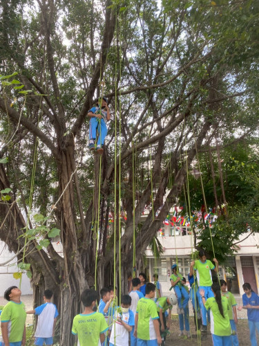 編號16圖片連結的縮圖